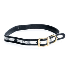 Carregar imagem no visualizador da galeria, Coleira Pet Designer