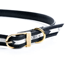 Carregar imagem no visualizador da galeria, Coleira Pet Designer