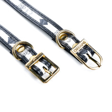 Carregar imagem no visualizador da galeria, Coleira Pet Designer