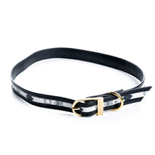 Carregar imagem no visualizador da galeria, Coleira Pet Designer