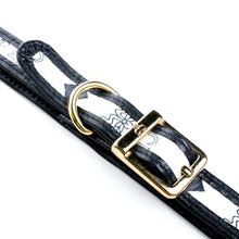 Carregar imagem no visualizador da galeria, Coleira Pet Designer